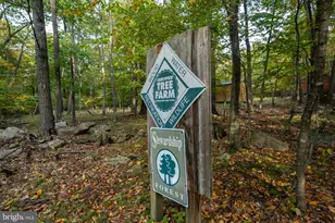 15800 Sprucewood Dr, Frostburg, MD 21532 - Photo 26