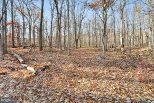 23851 Squirrel Ridge Dr, Rawlings, MD 21557 - Photo 16