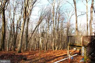 15509 Burton Park, Frostburg, MD 21532 - Photo 6