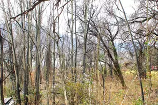 11902 McMullen Hwy SW, Cumberland, MD 21502 - Photo 6