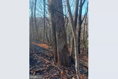 Gray Avenue, Cumberland, MD 21502 - Photo 8