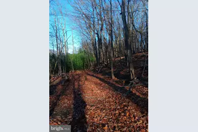 Gray Avenue, Cumberland, MD 21502 - Photo 12