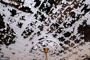 444 Columbia St, Cumberland, MD 21502 - Photo 8