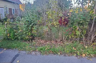 19823 Broad St, Midland, MD 21542 - Photo 1