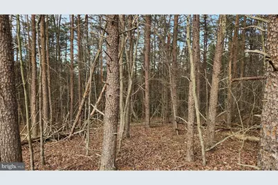 11901 Price Road NE, Little Orleans, MD 21766 - Photo 1