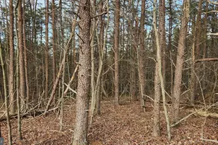 11901 Price Rd NE, Little Orleans, MD 21766 - Photo 1