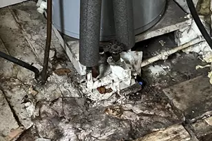 15718 Rockville St SW, Lonaconing, MD 21539 - Photo 14