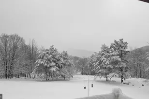 887 Weires Ave, Lavale, MD 21502 - Photo 78