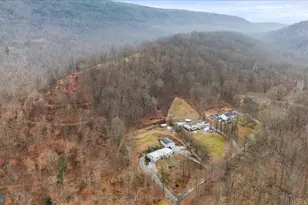 14214 Black Walnut Ln, Ellerslie, MD 21529 - Photo 48