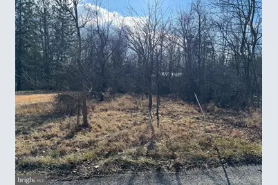 Tract 1: .70+/- Acres Fir Tree Lane, Cresaptown, MD 21502 - Photo 6