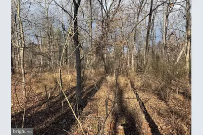 Tract 1: .70+/- Acres Fir Tree Lane, Cresaptown, MD 21502 - Photo 10