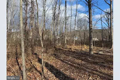 Tract 3: .83+/- Acres Ethridge Street, Cresaptown, MD 21502 - Photo 6