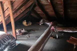 501 Rose Hill Ave, Cumberland, MD 21502 - Photo 36