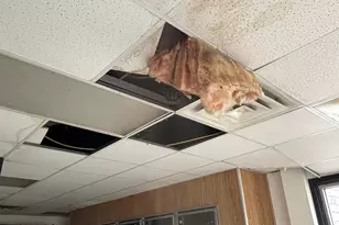 22409 McMullen Hwy SW, Rawlings, MD 21557 - Photo 32