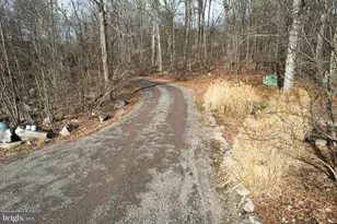 10915 Rachael Ave, Frostburg, MD 21532 - Photo 64