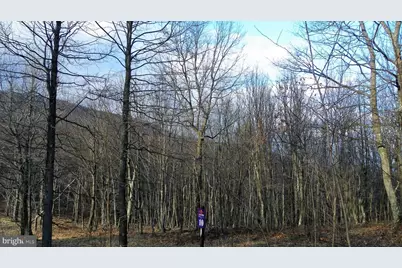 16326 Laurelhurst Boulevard, Cresaptown, MD 21502 - Photo 1