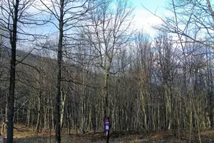 16326 Laurelhurst Blvd, Cresaptown, MD 21502 - Photo 1