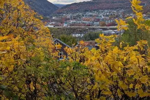 346 Williams St, Cumberland, MD 21502 - Photo 18