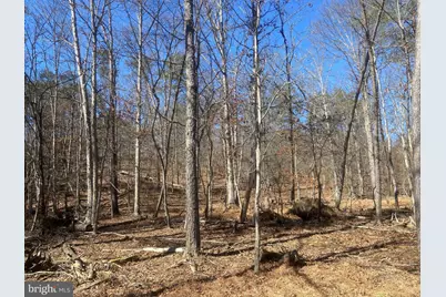 31207 Gold Plains Drive SE, Little Orleans, MD 21766 - Photo 30