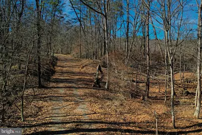 31207 Gold Plains Drive SE, Little Orleans, MD 21766 - Photo 28