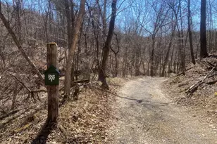 31207 Gold Plains Dr SE, Little Orleans, MD 21766 - Photo 82