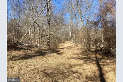 31207 Gold Plains Drive SE, Little Orleans, MD 21766 - Photo 58