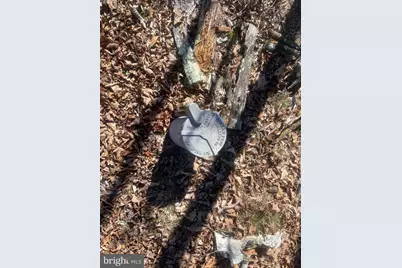 31207 Gold Plains Drive SE, Little Orleans, MD 21766 - Photo 64