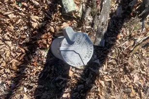 31207 Gold Plains Dr SE, Little Orleans, MD 21766 - Photo 64