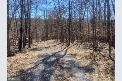 31207 Gold Plains Drive SE, Little Orleans, MD 21766 - Photo 46