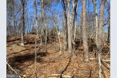 31207 Gold Plains Drive SE, Little Orleans, MD 21766 - Photo 60