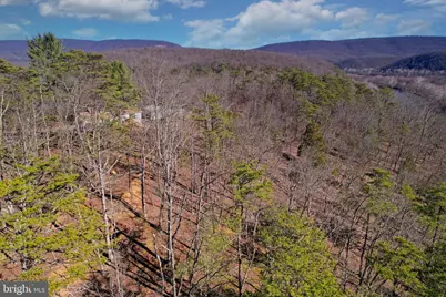 31207 Gold Plains Drive SE, Little Orleans, MD 21766 - Photo 34