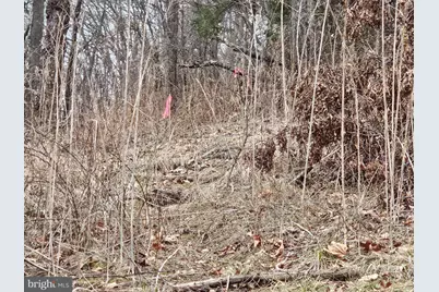 20117 McMullen Highway SW, Rawlings, MD 21557 - Photo 30