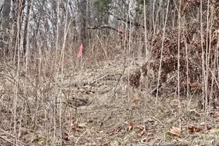 20117 McMullen Hwy SW, Rawlings, MD 21557 - Photo 30