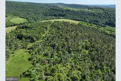 Pine Hill Road, Lonaconing, MD 21539 - Photo 18