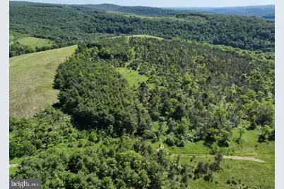 Pine Hill Road, Lonaconing, MD 21539 - Photo 2