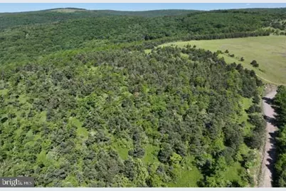 Pine Hill Road, Lonaconing, MD 21539 - Photo 44