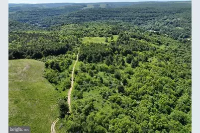 Pine Hill Road, Lonaconing, MD 21539 - Photo 12