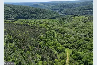 Pine Hill Road, Lonaconing, MD 21539 - Photo 16