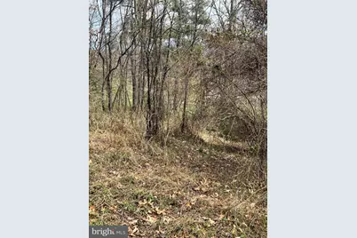 Rose Hill Drive, Rawlings, MD 21557 - Photo 2