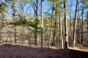 31307 Oldtown Rd, Little Orleans, MD 21766 - Photo 46