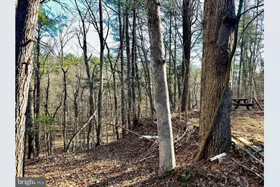 31307 Oldtown Road, Little Orleans, MD 21766 - Photo 48