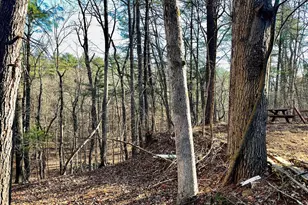 31307 Oldtown Rd, Little Orleans, MD 21766 - Photo 48