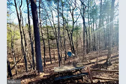 31307 Oldtown Road, Little Orleans, MD 21766 - Photo 50