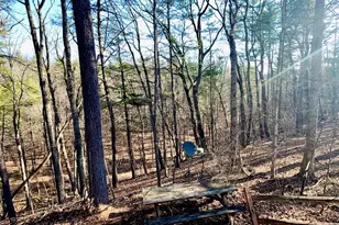 31307 Oldtown Rd, Little Orleans, MD 21766 - Photo 50