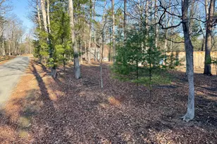 31307 Oldtown Rd, Little Orleans, MD 21766 - Photo 34