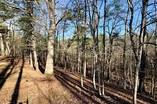 31307 Oldtown Rd, Little Orleans, MD 21766 - Photo 40