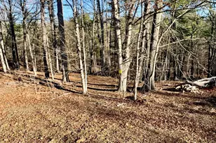 31307 Oldtown Rd, Little Orleans, MD 21766 - Photo 42