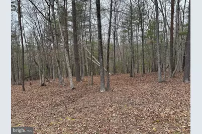 Oliver Beltz Road, Oldtown, MD 21555 - Photo 8