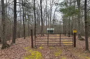 Oliver Beltz Rd, Oldtown, MD 21555 - Photo 1