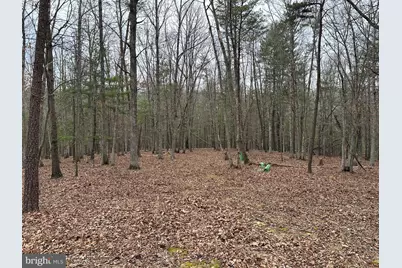 Oliver Beltz Road, Oldtown, MD 21555 - Photo 6